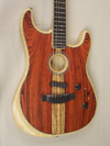Closeup of American AcoustaSonic